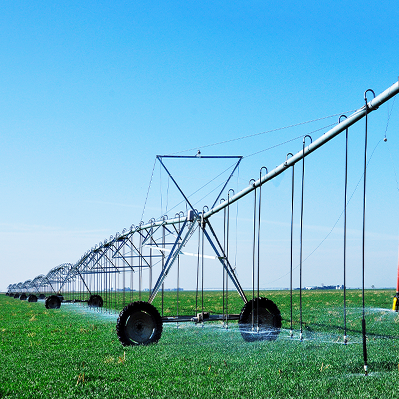 TRANSLATION SPRINKLER